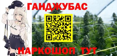 индика Боровичи