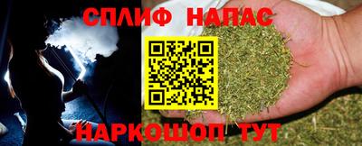 гидропоника Брянск